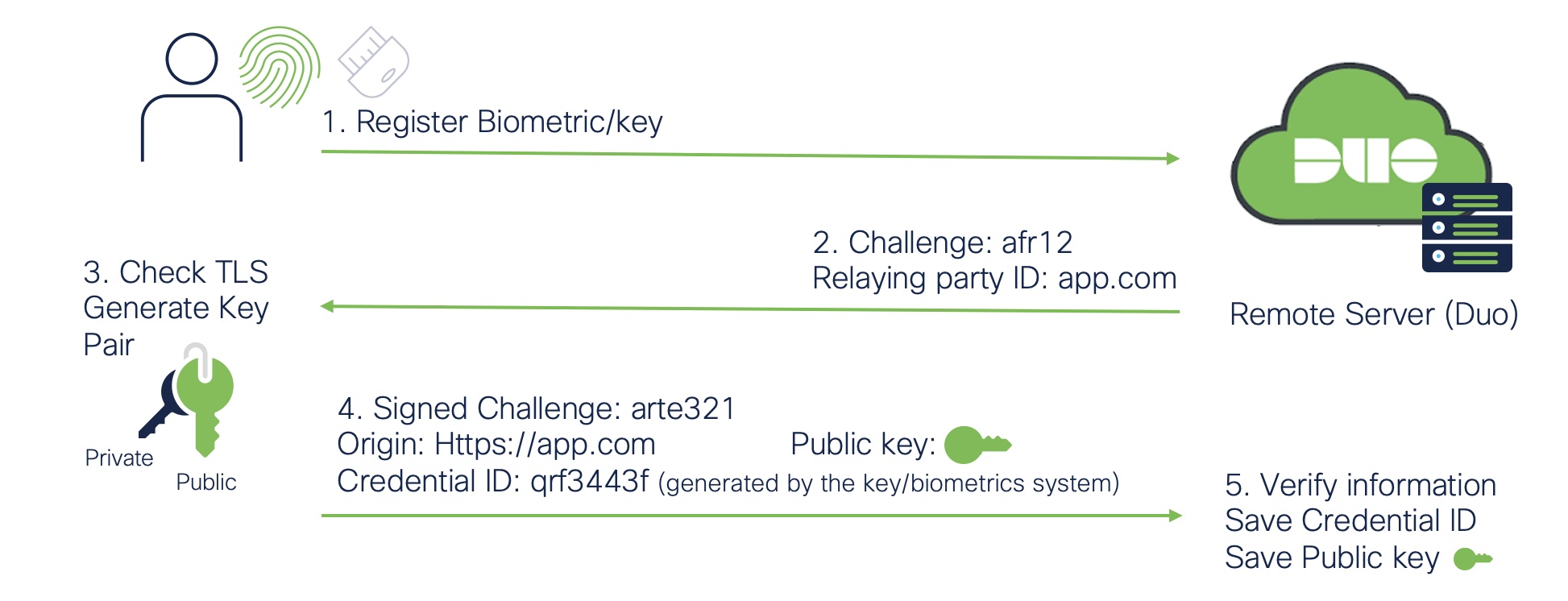 Diagram showing steps to register a passwordless biometric or security key with Duo, including challenge, key pair generation, and verification.